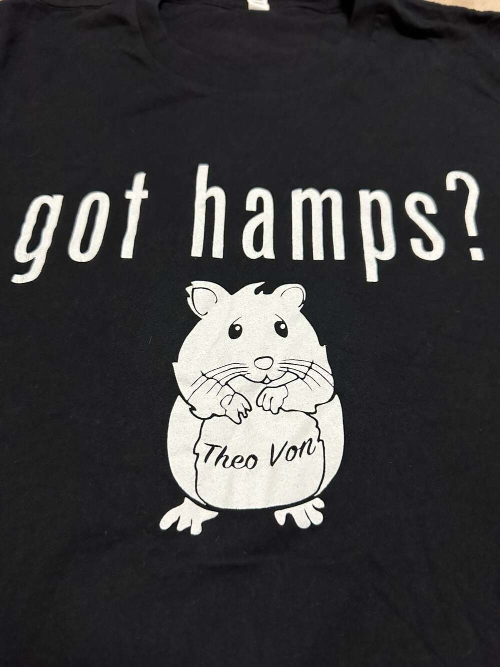 Bella+Canvas Theo Von Got Hamps? Graphic T-Shirt Size XL